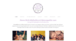 Desktop Screenshot of birthbabiesbeyond.com